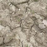 Climat : "60% de la zone de production de semences en France soumise à un risque fort ou extrême d'ici 2050", selon une étude
          Pour pallier notamment le manque d'eau à venir, les agriculteurs devront avancer les semences, voire en changer.