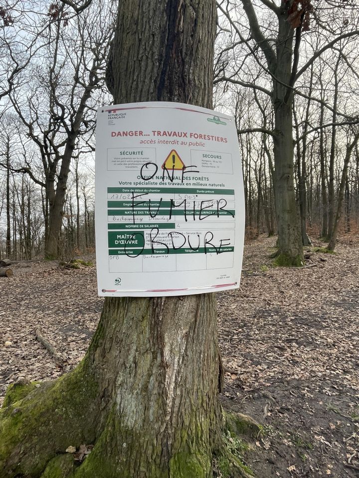 Un panneau d'information de l'ONF annonçant des coupes d'arbres dans la forêt de Fausses Reposes à Ville d'Avray tagué (Hauts-de-Seine), 20 février 2024 (DAUPHIN / RADIO FRANCE)