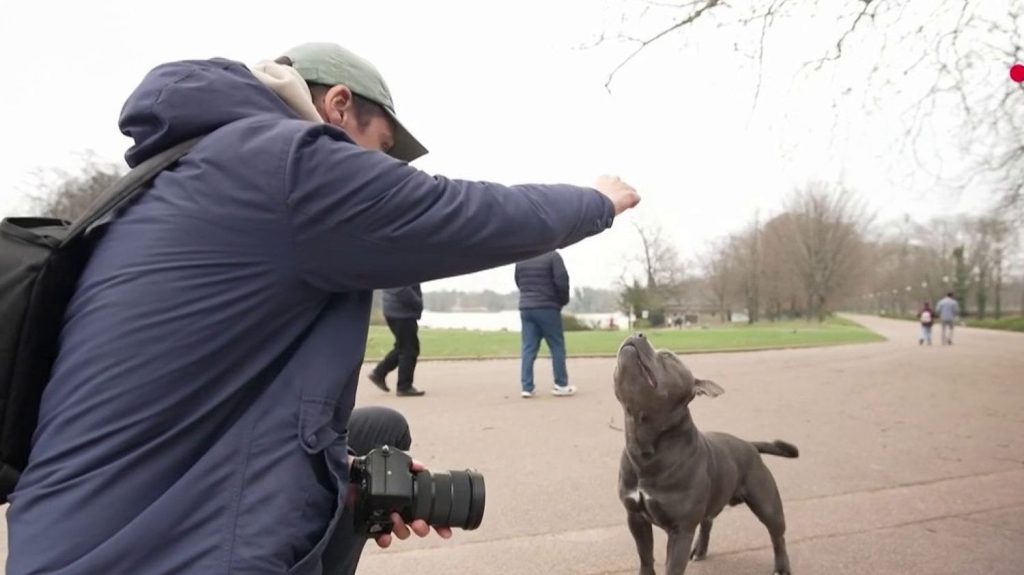Photographie : à Lyon, quand les chiens deviennent les stars des réseaux sociaux
          À Lyon (Rhône), un jeune homme allie ses passions des chiens et de la photographie. Ses portraits ont été immortalisés sur les réseaux sociaux.