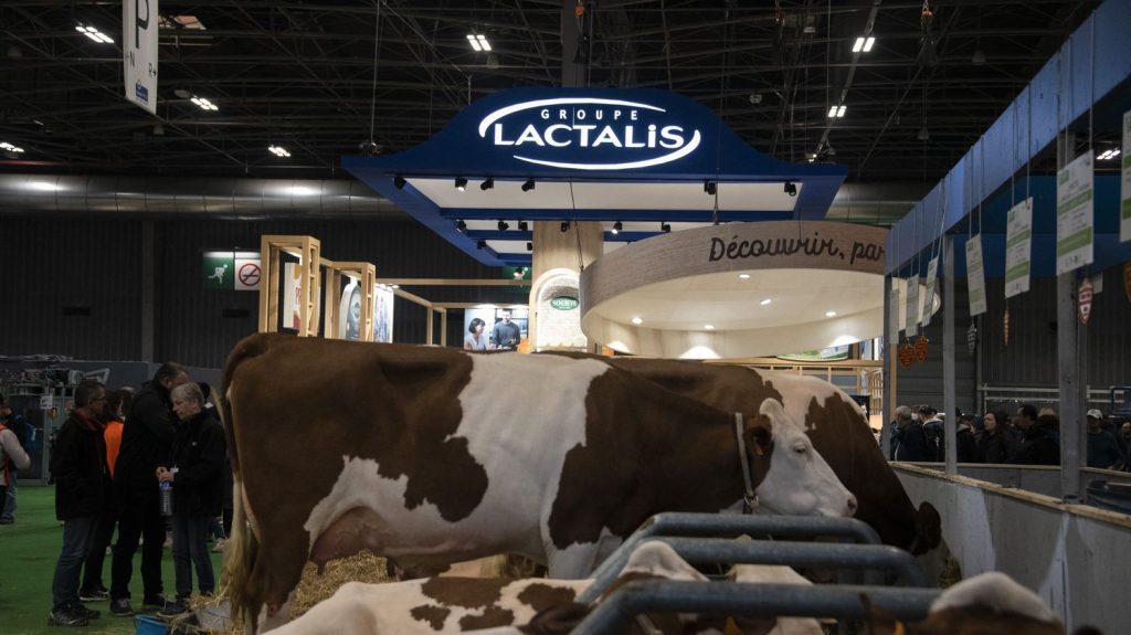 Le géant Lactalis et ses fournisseurs annoncent avoir trouvé un accord sur le prix du lait
          "Le prix pour les mois de janvier, février et mars est ainsi fixé à 425 euros" les 1 000 litres pour le lait de base, soit cinq euros de plus que la dernière proposition de l'industriel, visé ces dernières semaines par plusieurs manifestations.