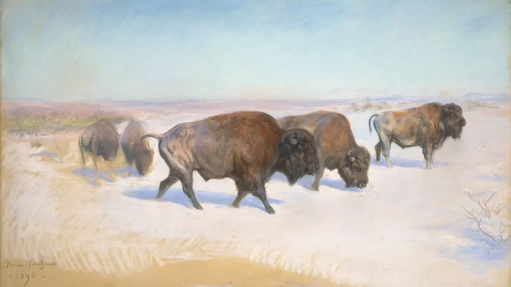 Un pastel inédit de la célèbre peintre animalière Rosa Bonheur vendu près de 240 000 euros chez Christie's
          Le dessin intitulé "Étude pour l'Émigration des bisons" date de 1896. Resté à l’abri des regards dans une famille française depuis plusieurs générations, il était dans un excellent état de conservation.