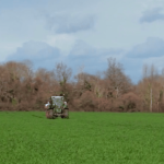 Environnement : comment utiliser moins de pesticides dans les champs ?
          Certains agriculteurs multiplient les techniques pour se passer autant que possible de produits chimiques dans leurs exploitations. Exemples.