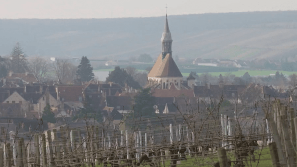 Bourgogne : à Chablis, le tourisme viticole réchauffe l'hiver
          Direction Chablis, en Bourgogne, une ville mondialement connue pour son vignoble qui compte près de 6 000 hectares. Même en hiver, de plus en plus de touristes viennent y découvrir les caves et apprendre les secrets de la production auprès de vignerons passionnés.