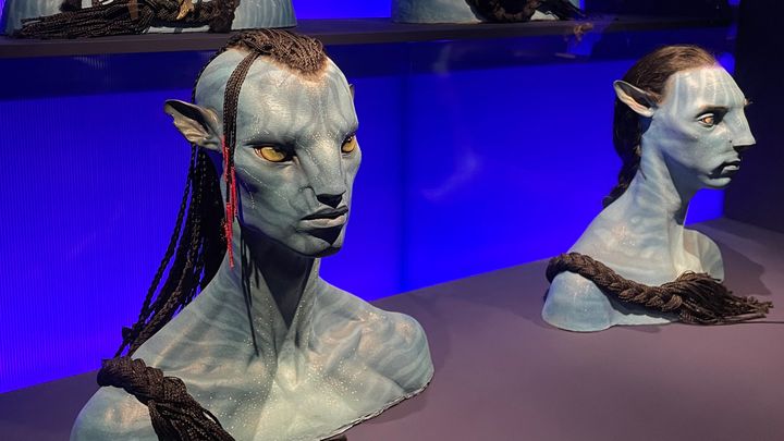Les bustes des personnages d'Avatar, moulés lors de la préparation du film, exposés à la Cinémathèque de Paris (MATTEU MAESTRACCI/ FRANCE INFO/ RADIO FRANCE)