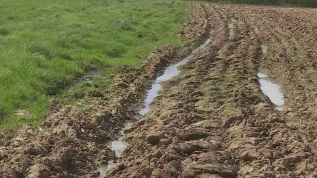 Agriculture : les cultures gorgées d’eau
          La pluie est tombée presque sans discontinuer depuis un mois dans certains départements. Les agriculteurs ont les pires difficultés à semer dans leurs cultures à cause des champs boueux.