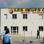 Vendée : le producteur d’œufs Geslin visé par une enquête pour falsifications et tromperies
          La procureure de La-Roche-sur-Yon a ouvert une enquête après des conclusions de la DGCCRF.