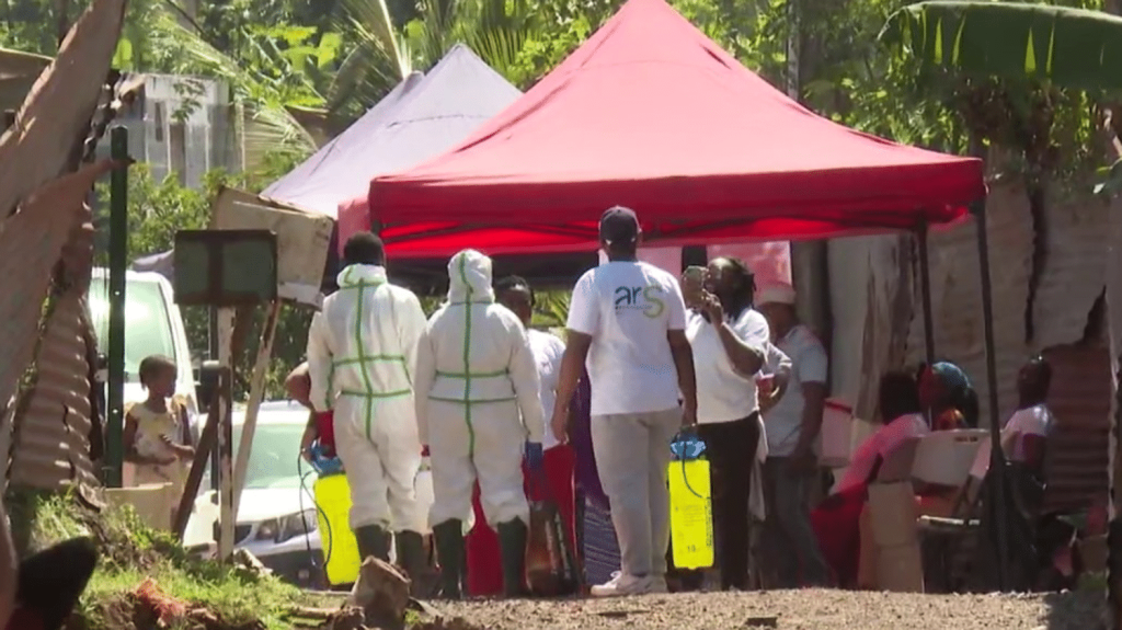 Choléra à Mayotte : une campagne de vaccination pour contrôler l'épidémie
          L'île de Mayotte est confrontée à une épidémie de choléra, qui a déjà causé la mort d'une fillette de trois ans. Pour contenir la propagation de la maladie, des brigades sanitaires alertent la population.