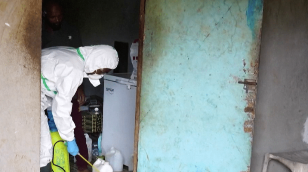 Choléra à Mayotte : deuxième décès depuis le début de l'épidémie
          Une femme de 62 ans est décédée à Mayotte, touchée par l'épidémie de choléra. Il s'agit de la deuxième personne morte de la maladie sur l'archipel. 105 cas y ont été recensés.