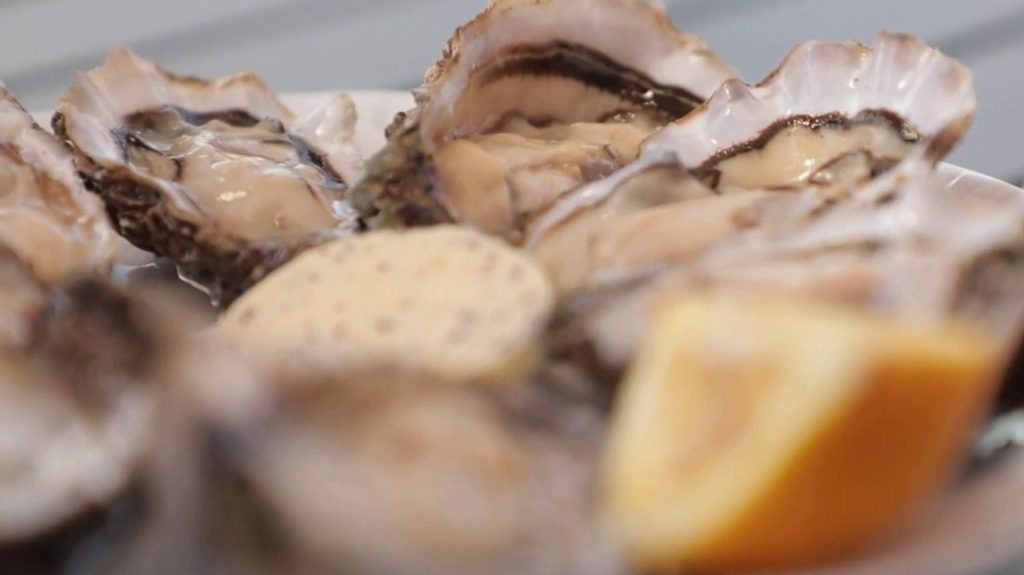 Gastronomie : à la découverte des huîtres de Marennes, la perle d'Oléron
          Samedi 4 mai, la rubrique "Les petits plats dans l'écran" met à l'honneur l'huître de Marennes, une variété de fruits de mer, cultivées en Charente-Maritime.