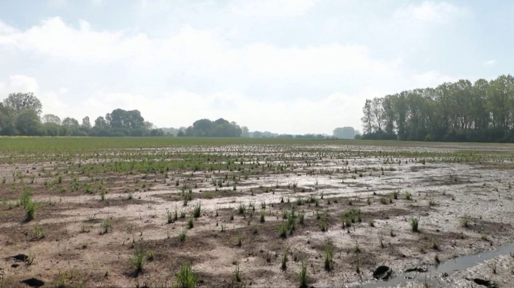 Agriculture : les champs gorgés d'eau sont inutilisables
          Dans l'Aisne, 5 000 hectares de terrains agricoles sont encore inondés, jeudi 9 mai. Les éleveurs ne peuvent pas semer ni faire paître leurs animaux.