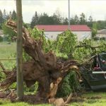 Dordogne : le département touché par un violent orage
          Une tornade s'est abattue sur le village de Mouleydier, en Dordogne, dimanche 5 mai. L'événement, brutal mais court, a causé des dégâts matériels.