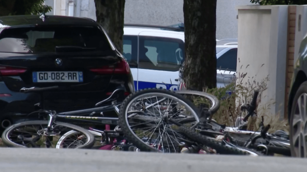 Accident à La Rochelle : une petite fille de 10 ans en état de mort cérébrale
          À La Rochelle, mercredi 5 juin, une automobiliste de 83 ans a fauché un groupe de 12 enfants à vélo. Une petite fille de 10 ans a été déclarée en état de mort cérébrale, et quatre autres enfants sont hospitalisés.