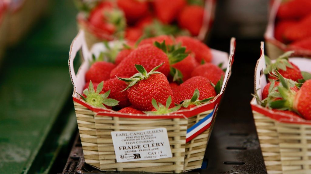 Récoltes abondantes et prix attractifs... Les producteurs de fraises françaises espèrent connaître un bel été 2024
          Les fraises françaises vont se déverser sur les étals, avec un pic de production jusqu'à la fin du mois. Les prix sont enfin plus attractifs.