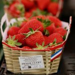 Récoltes abondantes et prix attractifs... Les producteurs de fraises françaises espèrent connaître un bel été 2024
          Les fraises françaises vont se déverser sur les étals, avec un pic de production jusqu'à la fin du mois. Les prix sont enfin plus attractifs.