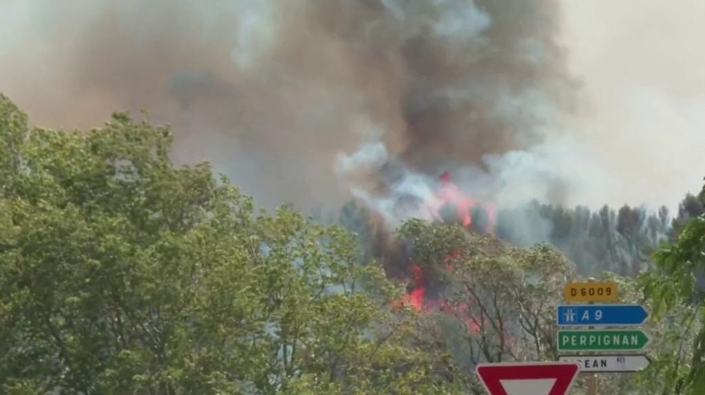 Incendie : un feu de forêt a éclaté dans l’Aude
          Un incendie a éclaté, ce mardi 2 juillet, près de la réserve africaine de Sigean, dans l'Aude. 35 hectares ont été ravagés par les flammes.